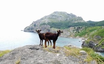 Playa de San Julián