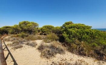 Playa de los Enebrales
