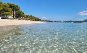 Platja d'Alcudia