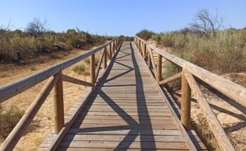Playa de Rompeculos