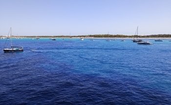 Platja de Ses Illetes