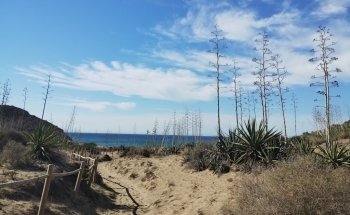 Cala Chica, Cala Grande y Barronal