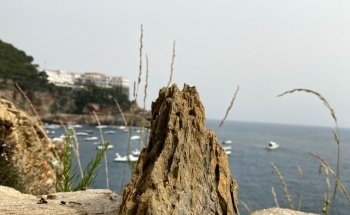 Cala Ses Vaques