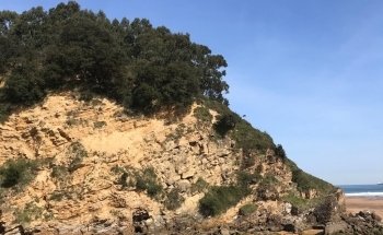 Playa La Arena Bizkaia / Area hondartza Bizkaia