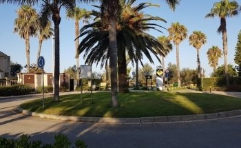Playa La Ballena