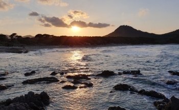 Mini Tren Station Cala Agulla