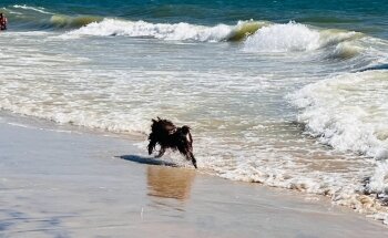 Playa de Matalascañas