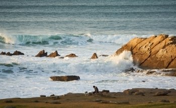 Gorrondatxe hondartza