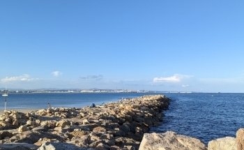 La Pineda