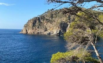 Cala Pedrosa
