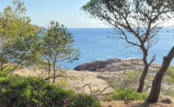 Cala Pedrosa