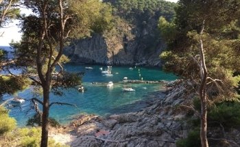 Cala Pedrosa