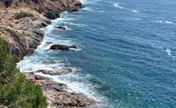 Cala Pedrosa