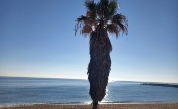 Playa de la Nova Mar Bella