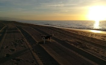 Playa LUZ SERENA (alquiler hamacas)