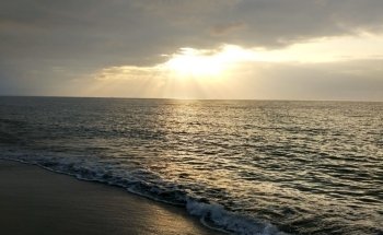 Playa LUZ SERENA (alquiler hamacas)