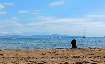 Platja de Riells - l'Escala