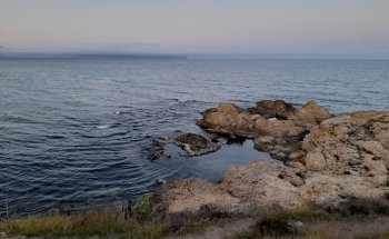 Les Muscleres Platja