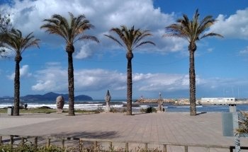 Playa de Ca'n Picafort