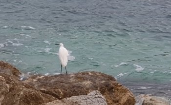 Plaja del Arenal, Xábia/Jávea