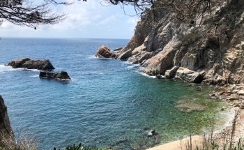 Cala del Cau