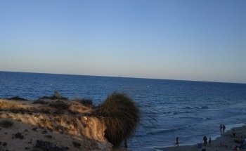 Mil Palmeras / Playa Vistamar