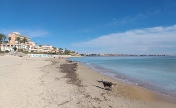 Mil Palmeras / Playa Vistamar