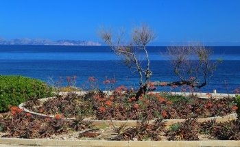 Cala Fonda