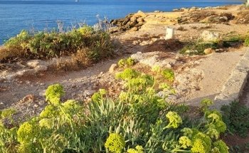 Cala Fonda