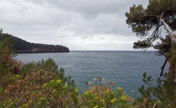 Es Canyaret