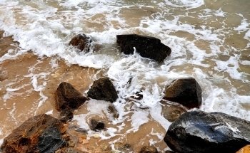 Playa de las Higuericas