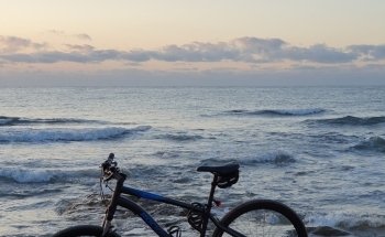 Playa de las Higuericas