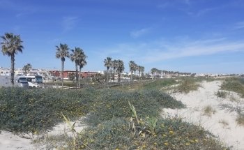Playa de las Higuericas