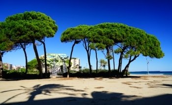 Platja de la Pineda