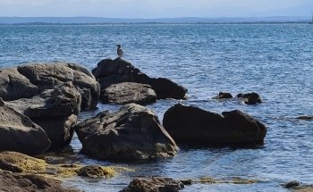 Platja dels Palangrers