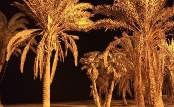 Playa de la Misericordia