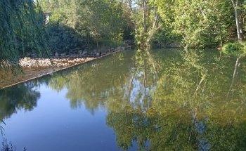 Playa Fluvial de Toral de Los Vados