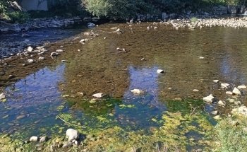 Playa Fluvial de Toral de Los Vados