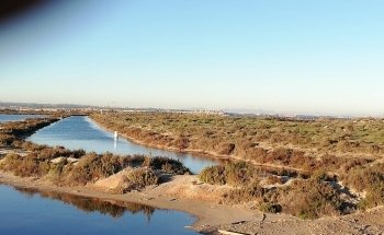Merendero de las Salinas