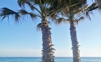 Playa El Chucho Nerja