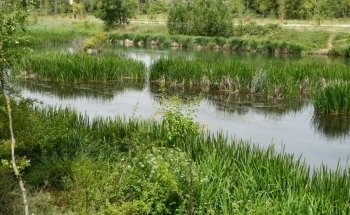 Playa fluvial Fuente Prior