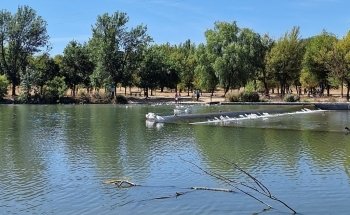 Playa fluvial Fuente Prior