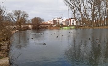 Playa fluvial Fuente Prior