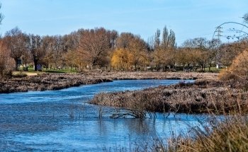 Playa fluvial Fuente Prior