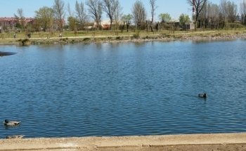 Playa fluvial Fuente Prior