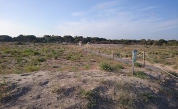 Platja de la Murtra - Viladecans