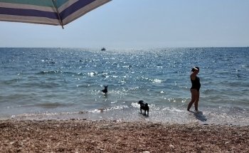 Platja de la Solsida