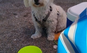 Playa del Cable, O Playa Grande.