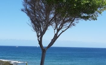 Playa El Barranquillo