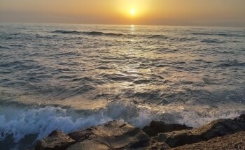 Platja Port de Sagunt